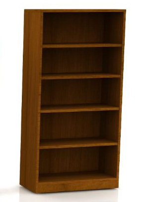Canvas Bookcase